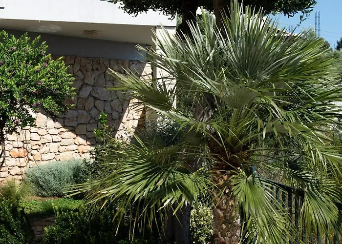 Mirjana Διαμέρισμα *